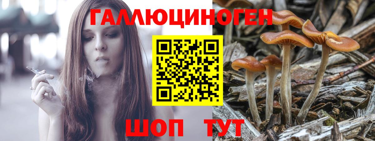 Воронеж  Псилоцибиновые грибы MAGIC MUSHROOMS  Вход с VPN 