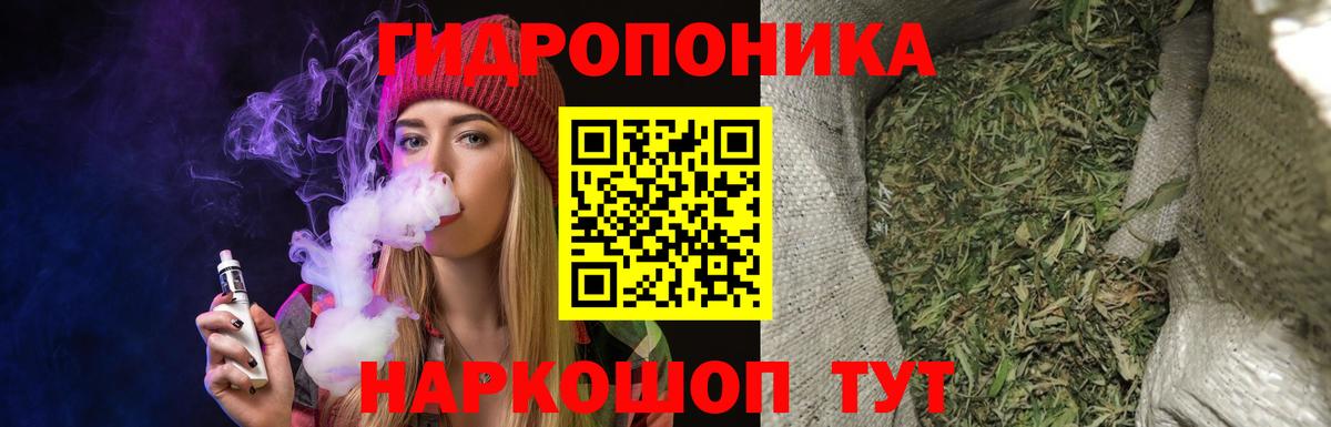 Марихуана Bruce Banner  Вход с VPN  Бошки марихуана план  Марихуана THC 21%  Воронеж 